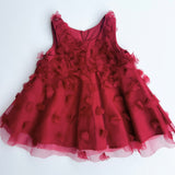 Charlotte Silk Organza Dress (Red)