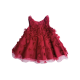 Charlotte Silk Organza Dress (Red)