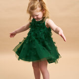 Charlotte Silk Organza Dress