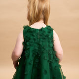 Charlotte Silk Organza Dress